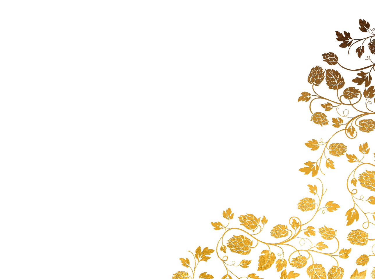 Motif Houblon Droite