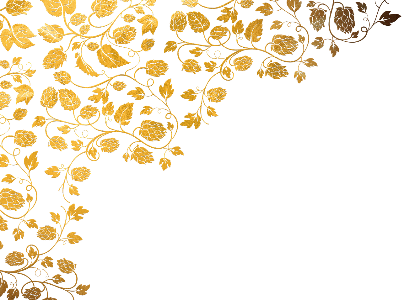 Motif Houblon Gauche